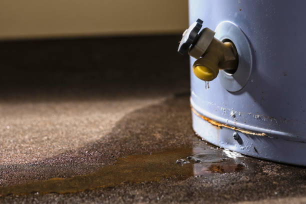 Best Commercial Water Damage Restoration in USA